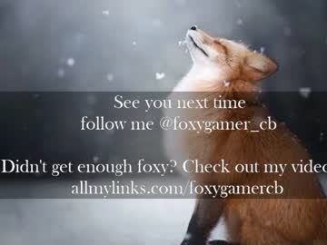 WebCam for foxy_gamer